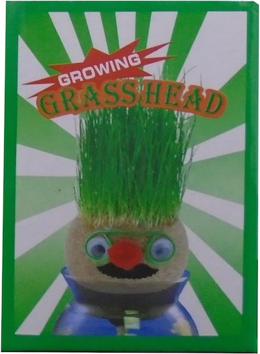 Magic Growing Grass Head Craft DIY