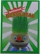 Magic Growing Grass Head Craft DIY