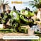 8 Wheel Stunt Dinosaur Car