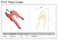 Jetech Ratcheting Hose and Pipe Cutter, Stainless Steel Blade for PVC, PPR, PEX, PE Pipes &amp; Tubes, 1-5/8 Inch One-Hand Fast Cutting Tool, Max Diameter 42mm, Durable &amp; Easy to Use - PPC-42