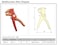 Jetech Multifunctional Wire Stripper, Tool for Electricians and Construction Workers, Strips Cable Diameter 0.5-6mm, Multi-Function Cable Cutters Heavy Duty - FWS-7