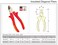 Jetech 8-Inch Insulated Handle Diagonal Pliers, VDE Certified, Chrome Vanadium Steel Industrial Level Wire Cutter Side Cutting Pliers Tool, Orange - IDP-8