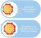 Youleen Sunflower Musical Crib Mobile for Babies - 360&deg; Rotating Bed Bell with Remote Control - Safety Certified Soothing Toys for Newborns (0 Months+)