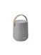 Harman kardon Citation 200  Portable Smart Speaker For HD Sound, Grey