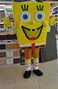 Funny Working Cosplay Mascot Suit Costume Cartoon Character For Adults