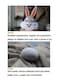 New Popular Funny  Rabbit Bugs Bunny Mascot Animal Cosplay Costumes For Adult
