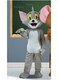High Quality Long Plush Adult Tom And Jerry Mascot Costume