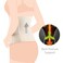 SUNVENO 2 in 1 Body Shaper Combo - Beige, S