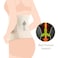 SUNVENO 2 in 1 Body Shaper Combo - Beige, M