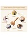 Handheld Wood Swedish Cup Massager &ndash; Beech Wood Maderotherapy Tool for Lymphatic Drainage, Anti-Cellulite, Body Sculpting &amp; Muscle Pain Relief