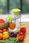 Manual Juicer - Portable Wheatgrass Squeezer with Comfortable Handle, Lightweight DIY Juice Extractor for Fruits, Vegetables, Ginger &amp; More   Ideal for Home Use
