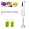 Low Noise Immersion Blender Handheld 750W, 3-Speed Gear Adjustment, Stainless Steel Hand Blender for Household &amp; Kitchen, Powerful, Quiet &amp; Efficient Food Processor
