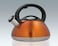 Whistling Stainless Steel Tea Kettle - 3L, Premium Heavy-Duty, Anti-Rust Design, Fast Heating, Ergonomic Handle, for Gas &amp; Induction Stoves
