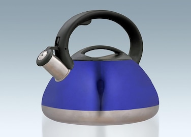 Whistling Stainless Steel Tea Kettle - 3L, Premium Heavy-Duty, Anti-Rust Design, Fast Heating, Ergonomic Handle, for Gas &amp; Induction Stoves
