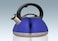 Whistling Stainless Steel Tea Kettle - 3L, Premium Heavy-Duty, Anti-Rust Design, Fast Heating, Ergonomic Handle, for Gas &amp; Induction Stoves
