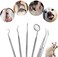 5Pcs Pet Tooth Scaler Cleaning Kit &ndash; Stainless Steel Tartar Remover, Dental Calculus &amp; Plaque Removal Tools for Dogs &amp; Cats, Professional Oral Care Kit