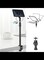 Tabletop Light Stand Clip with 1 / 4-inch Screw for Cameras LED Video Light and Ring Light