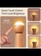LED Wooden Night Light,Smart Voice Control Light Desk Lamp USB Rechargeable(Beech Wood)