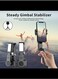 Gimbal Stabilizer for Smartphone, 2-Axis Gimbal Stabilizer, 360&deg;Rotation Face Tracking Phone Tripod with Stand, Selfie Stick with Lights for Video Recording
