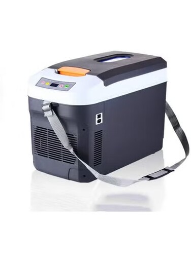Car Fridge Electric Cool Box Dual-core Refrigeration Mini Car Fridge Freezer Thermoelectric Cooling Warming Portable Refrigerator