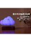 Radiotronics Cloudy-G Lamp, Cloud, 2 Lighting Colors, Floating Air, Touch Type, Design, Bed Lamp, Soothing Wood, Safety, Wonderful, Magnetic Levitation