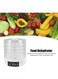 Radiotronics Food Dehydrator Machine, 350W 50Hz Vegetables Electric Dryer Machine Electric Food Dryer Machine for Fruits Veggies Meats Dog, US