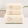 Comfy 3Pcs Embossed Towel Set-Beige
