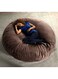 Chill Super Soft Velvet Bed Cocoon Bean Bag Brown