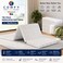 Luxury Quilted Finish: Comfy High-Density Medicated Foam Guest Beds 1+1