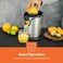 Stainless Steel Citrus Juicer with 2 Cones, Adjustable Pulp Filter, Manual Lemon &amp; Orange Juicer, Durable Hand Press Fruit Juicer for Lemon, Orange, Lime &amp; Citrus Fruits