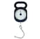 Heavy Duty Hanging Weight Scale 75lb / 32kg – Portable Analog Mechanical Weighing Scale with Hook for Luggage, Fish, Kitchen & Outdoor Use