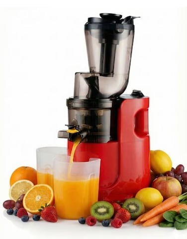 Everlyn Slow Juicer Machine, High Yield Cold Press Juicer Blender for Fruits and Vegetables, Efficient