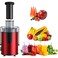 Multifunctional Centrifugal Juicer - 2-Speed Juice Extractor for Fruits & Vegetables