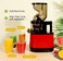 Havenix 500W Cold Press Slow Juicer, High Yield Juice Extractor for Fruits &amp; Vegetables, Low Noise Masticating Juicer Machine, BPA-Free, Easy Clean