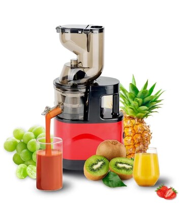 Havenix 500W Cold Press Slow Juicer, High Yield Juice Extractor for Fruits &amp; Vegetables, Low Noise Masticating Juicer Machine, BPA-Free, Easy Clean