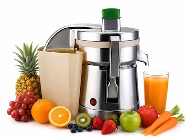 Heavy Duty Stainless Steel Juicer, Electric Juice Extractor with Large Capacity Pulp Container, Fresh Fruit & Vegetable Juice Maker for Home Kitchen