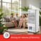 2 in 1 Portable Air Cooler with 17L Water Tank, 4 Ice Packs, 3-Speed Control, Wide-Angle Oscillation, High-Efficiency Evaporative Cooling &amp; Caster Wheels