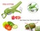 Multi-Purpose Vegetable &amp; Fruit Peeler with Salad Slicer &ndash; 3-in-1 Kitchen Tool with Cheese, Garlic &amp; Ginger Grater, Sharp Stainless Steel Blade