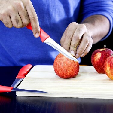 3-Piece Steak Knife Set &ndash; Premium Stainless Steel Fruit &amp; Kitchen Knives with Razor Sharp Blades   Ultra-Sharp Carving &amp; Chopping Knives