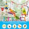 Bird Toys Set Wholesale for Parrots and Small Birds - Chew Toys, Swing Toys, and Fun Interactive Bird Products for Healthy Playtime

