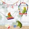 Bird Toys Set Wholesale for Parrots and Small Birds - Chew Toys, Swing Toys, and Fun Interactive Bird Products for Healthy Playtime
