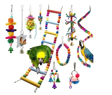 مجموعة من ١٠ ألعاب قفص ببغاء - ألعاب طيور معلقة مع أجراس، ومجثم أرجوحة من الخشب الطبيعي، وألعاب مضغ للببغاوات، والببغاوات، والكوكاتيل، والكونيور، والطيور الصغيرة