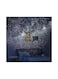Galaxy Projector  Bringing you the real starry light show