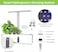Smart Indoor Garden Hydroponics Growing System &ndash; 9 Pods Herb Grow Kit with LED Grow Light, Automatic Timer &amp; Adjustable Height &ndash; Perfect for Kitchen, Office, Home