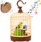 Mini Voice-Activated Bird Toy in Birdcage &ndash; Chirping Parrot with Fluttering Wings   Interactive Animal Toy for Babies, Toddlers &amp; Kids &ndash; Musical Toy Gift for Boys &amp; Girls
