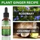 2PCS Rosemary Oil for Hair Growth &ndash; 100% Pure Essential Oil for Hair Loss Treatment &amp; Scalp Care &ndash; Natural Oil for Thicker, Stronger Hair &amp; Skin Nourishment &ndash; 30ml Each
