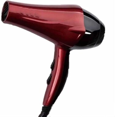 Professional Hair Dryer