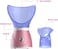 Portable Home Mini Facial Steamer - Nano Facial Mister Atomization, Facial Steamer Pores Humidifier Mist Sprayer, Warm Mist Humidifier Atomizer Sauna, Nano Ionic Facial Steamer, Mini Spa Face Steamer