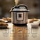 10L Electric Pressure Cooker, 10 Multi-Cooking Programs, LED Display, 24H Timer, Non-Stick Inner Pot, Stainless Steel Multi Cooker
