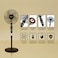 Stand Fan 16 Inch 60W with Copper Motor, 5-Blade Powerful Airflow, 3-Speed Control, 1-Hour Timer, Adjustable Height, Wide Oscillation, Quiet &amp; Energy-Efficient Cooling Fan &ndash; Black